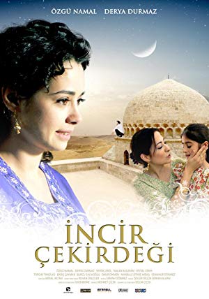 İncir Çekirdeği izle