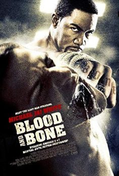 Kan ve Kemik – Blood and Bone (2009) izle