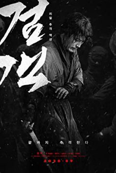 The Swordsman izle