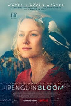 Penguin Bloom izle 2021