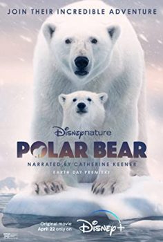 Polar Bear (2022) izle