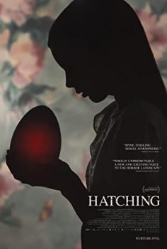 Kuluçka – Hatching izle