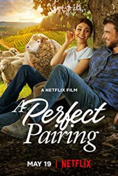 Kusursuz Uyum – A Perfect Pairing izle