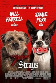 Kulağı Kesikler (Strays) izle