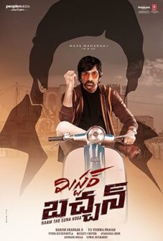 Mr. Bachchan 2024 izle