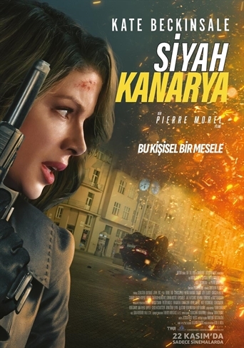 Siyah Kanarya 2024 izle