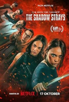 Asi 13 (The Shadow Strays) 2024 izle
