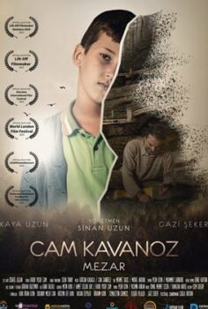 Cam Kavanoz 2024 izle