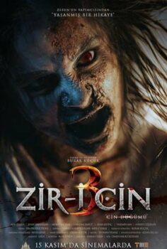 Zir-i Cin 3: Cin Düğümü 2024 izle