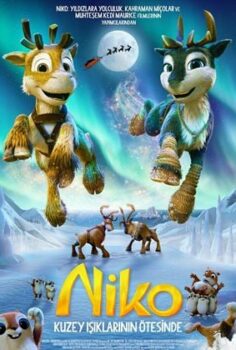 Niko 3: Kuzey Işıklarının Ötesinde 2024 izle