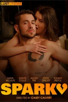 HAYATININ AŞKINI ARAYAN KIZ SPARK 2024 izle