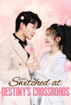 Switched at Destiny’s Crossroads izle