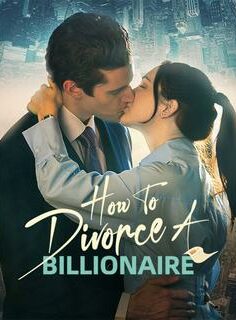 How to Divorce a Billionaire izle