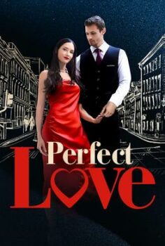 Perfect Love izle
