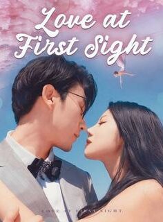 Love at First Sight izle
