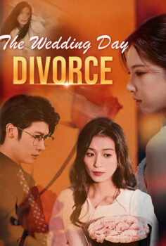 The Wedding Day Divorce izle