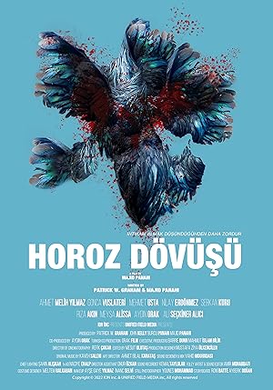 Horoz Dövüşü 2022 izle