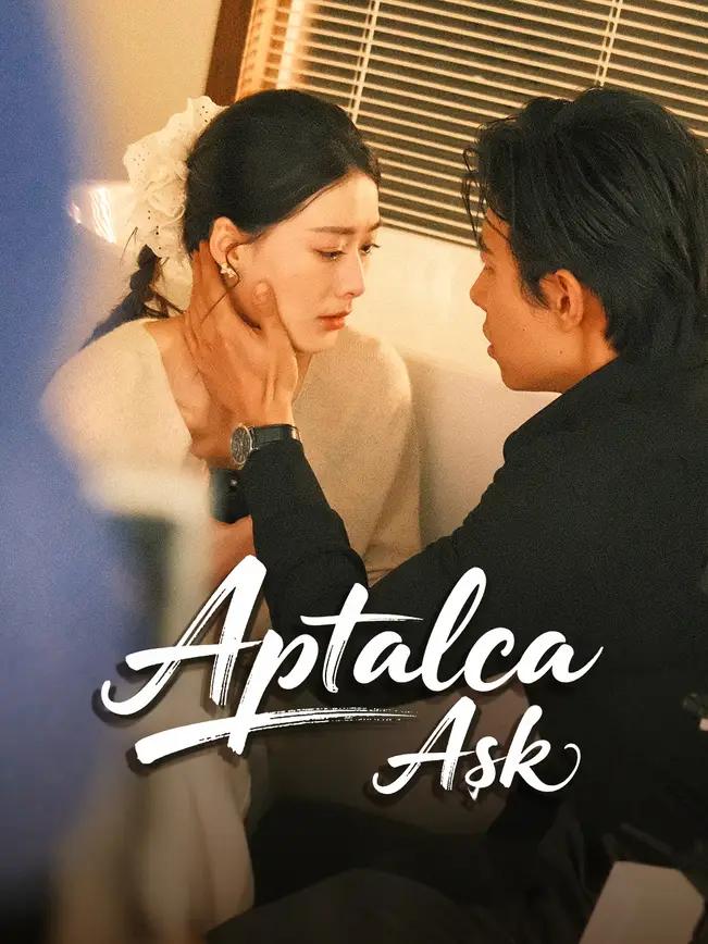 Aptalca Aşk izle
