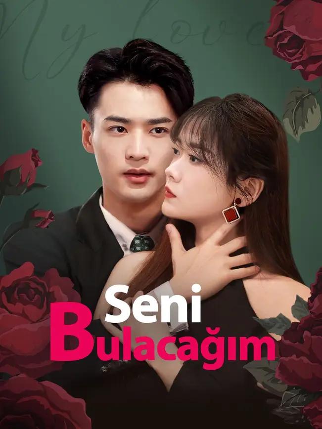 Seni Bulacağım izle