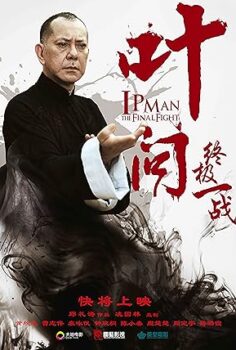 Ip Man Son Dövüş 2013 izle