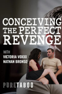 Kusursuz intikam conceiving the perfect revenge izle