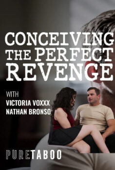 Kusursuz intikam conceiving the perfect revenge izle