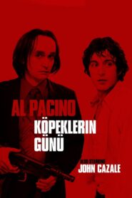 Köpeklerin Günü Dog Day Afternoon 1975 izle